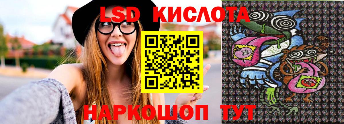 Галлюциногенные грибы Апатиты