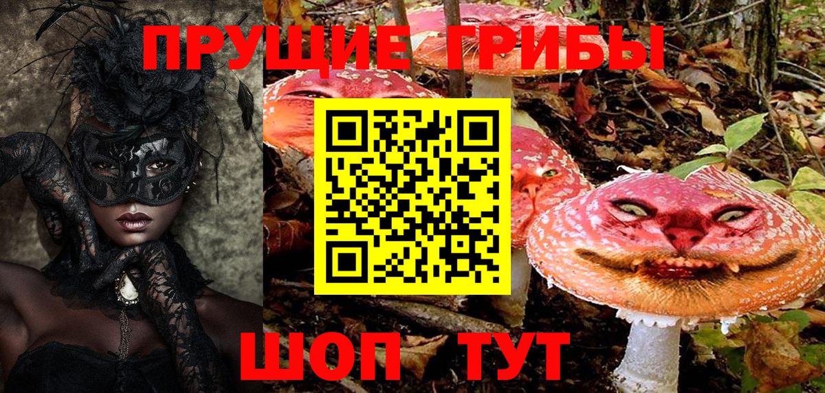 Апатиты  Галлюциногенные грибы Cubensis  Вход с VPN 